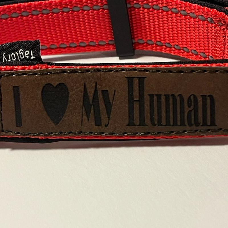 I Love My Human Leather Patch Custom Dog Collar