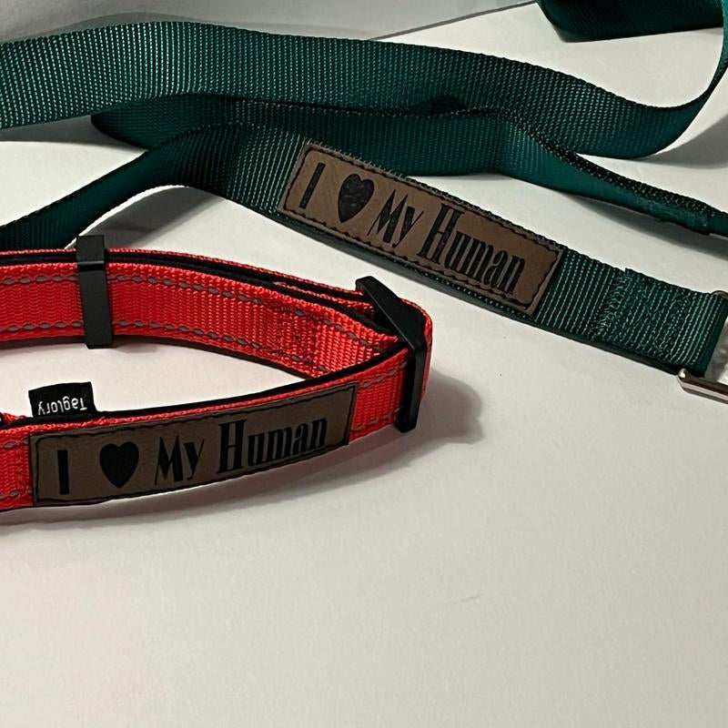 I Love My Human Leather Patch Custom Dog Collar